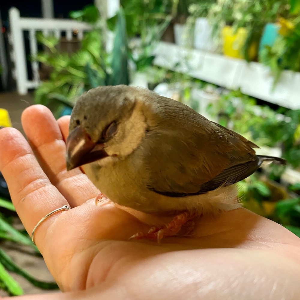 Meet your Posher, Amy